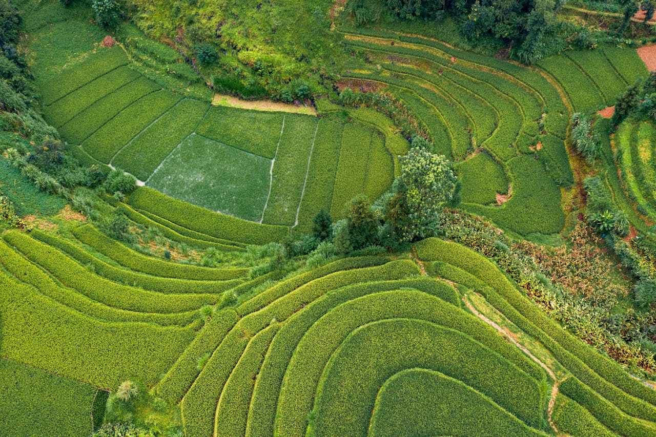 heros-img A captivating aerial shot of verdant terraced fields in a rural landscape.